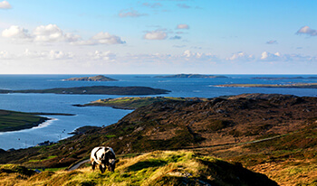 tour around ireland by car